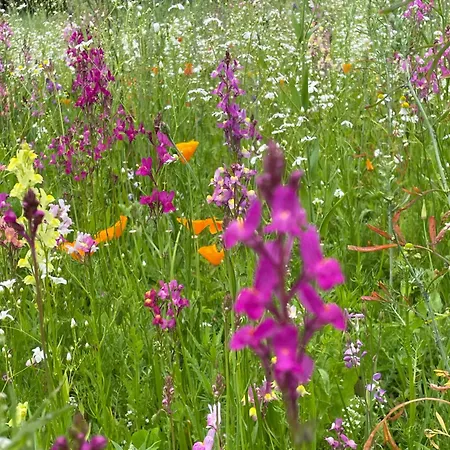 The La Drutiere Σπίτι διακοπών *