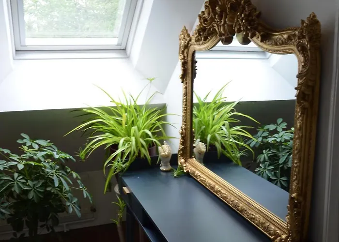 The La Drutiere Holiday home