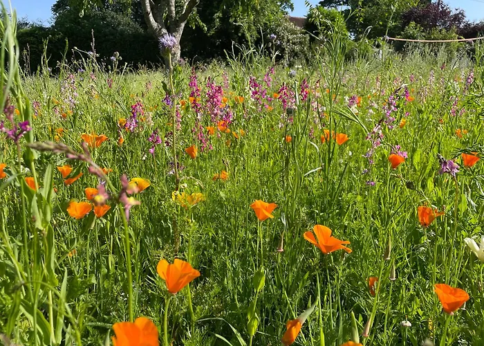 Holiday home The La Drutiere *